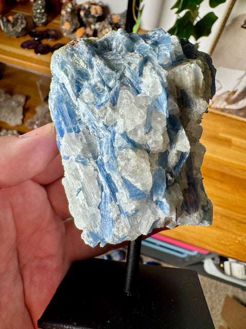 Blue Kyanite on Quartz Matrix – Align & Ground – 756g - Crystals & Reiki