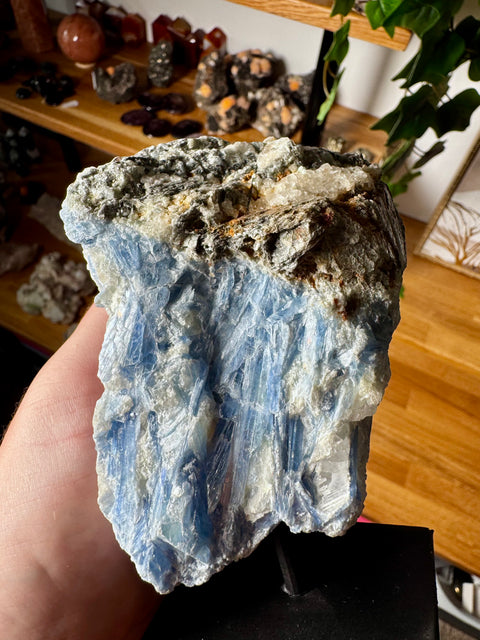 Blue Kyanite on Quartz Matrix – Align & Ground – 756g - Crystals & Reiki