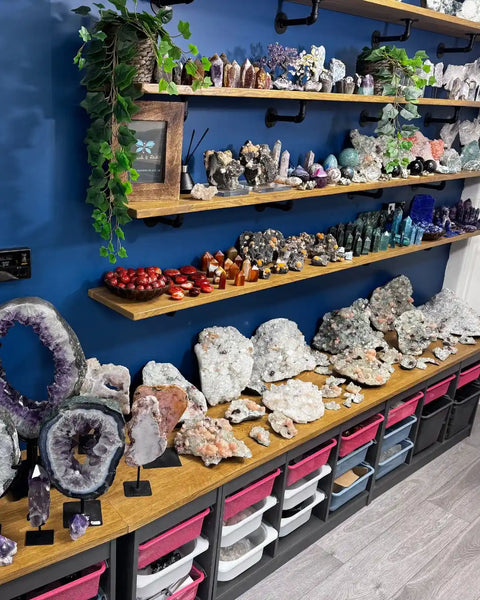 Display of crystals and minerals on wooden shelves against a blue wall.