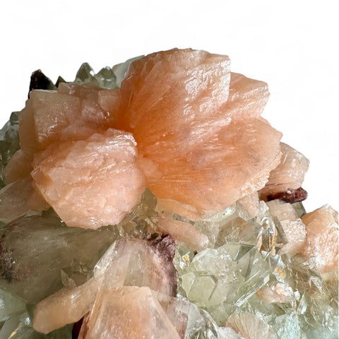 Diamond Apophyllite Cluster: Peach Stilbite & Heulandite (5.5kg) - Crystals & Reiki