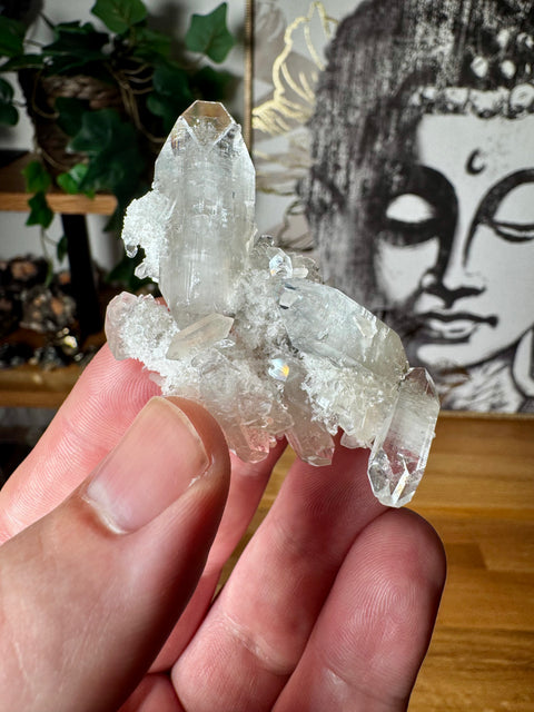 Diamond Apophyllite Cluster With Prehnite – Clarity & Heart Awakening – 40g - Crystals & Reiki