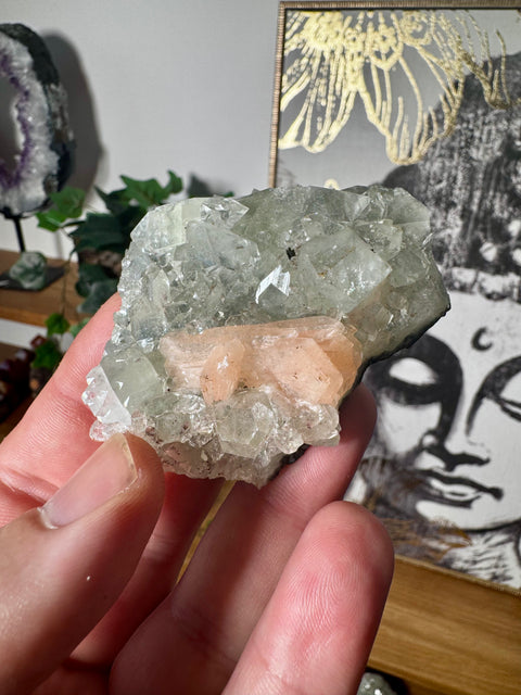 Diamond Apophyllite With Peach Stilbite - Elevates Vibration - Crystals & Reiki