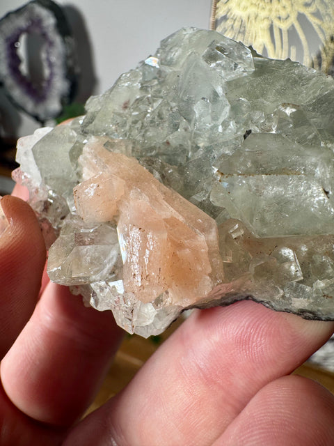 Diamond Apophyllite With Peach Stilbite - Elevates Vibration - Crystals & Reiki