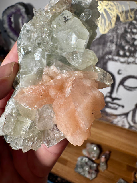 Diamond Apophyllite With Peach Stilbite - Let Go of Fear - Crystals & Reiki