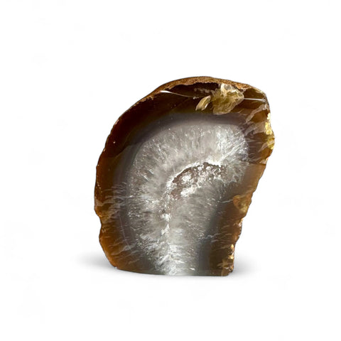 Discover the Magic of Cutbase Agate Druzy Geodes - Crystals & Reiki