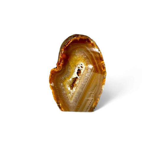 Discover the Magic of Cutbase Agate Druzy Geodes - Crystals & Reiki