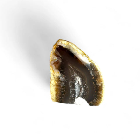 Discover the Magic of Cutbase Agate Druzy Geodes - Crystals & Reiki