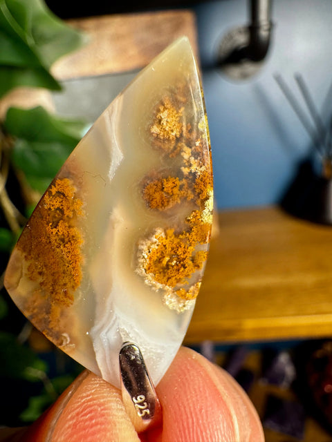Golden Plume Agate Pendant 3 – Nature Encapsulated - Crystals & Reiki