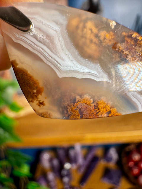 Golden Plume Agate Pendant 3 – Nature Encapsulated - Crystals & Reiki