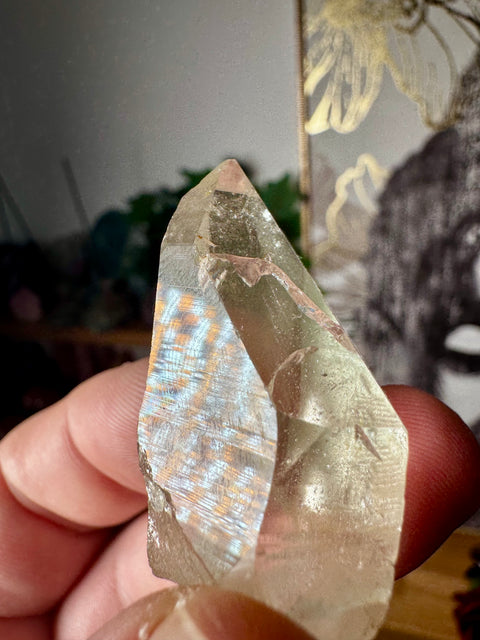 Himalayan Quartz Point – Sacred Mountain Light & Energy – 30g - Crystals & Reiki