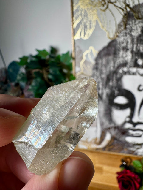 Himalayan Quartz Point – Sacred Mountain Light & Energy – 30g - Crystals & Reiki