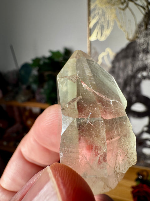 Himalayan Quartz Point – Sacred Mountain Light & Energy – 30g - Crystals & Reiki