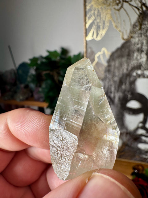Himalayan Quartz Point – Sacred Mountain Light & Energy – 30g - Crystals & Reiki