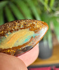 Australian Boulder Opal - Dragon's Eye - Crystals & Reiki