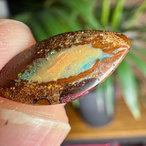 Australian Boulder Opal - Dragon's Eye - Crystals & Reiki