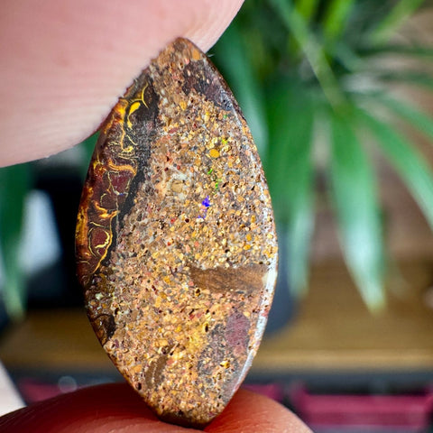 Australian Boulder Opal - Dragon's Eye - Crystals & Reiki