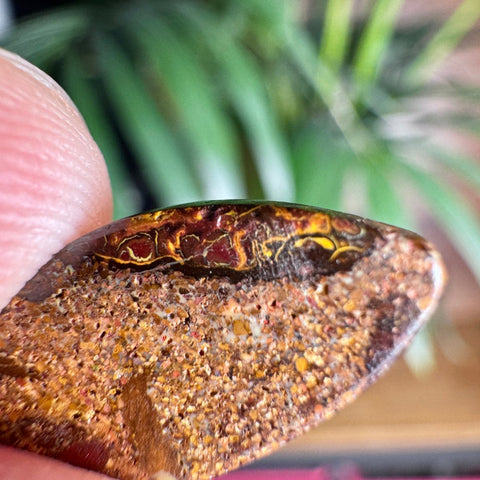 Australian Boulder Opal - Dragon's Eye - Crystals & Reiki