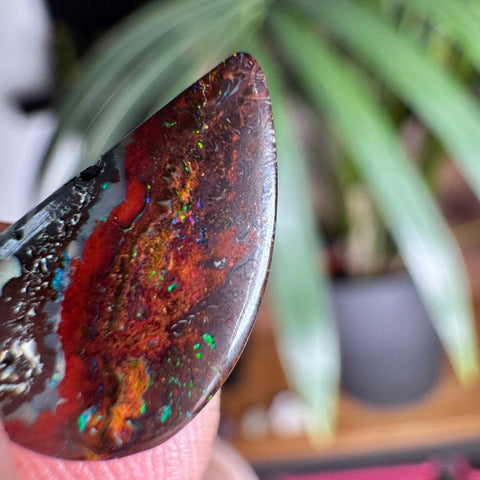 Australian Boulder Opal - Dragon's Tear - Crystals & Reiki