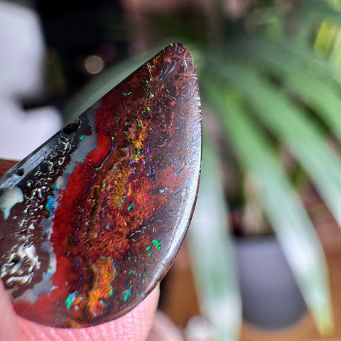 Australian Boulder Opal - Dragon's Tear - Crystals & Reiki