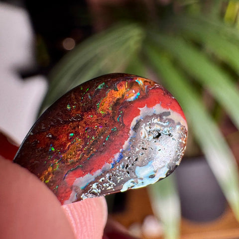 Australian Boulder Opal - Dragon's Tear - Crystals & Reiki