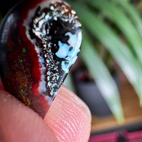 Australian Boulder Opal - Dragon's Tear - Crystals & Reiki