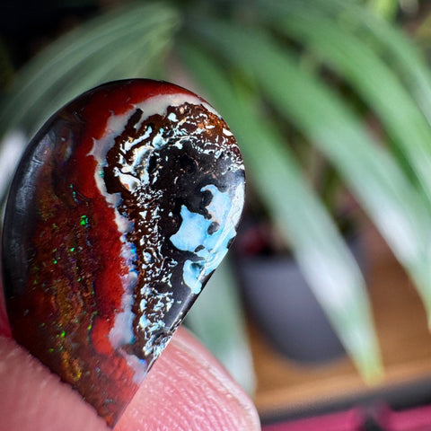 Australian Boulder Opal - Dragon's Tear - Crystals & Reiki