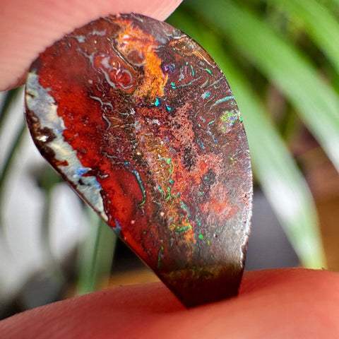 Australian Boulder Opal - Dragon's Tear - Crystals & Reiki