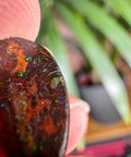 Australian Boulder Opal - Dragon's Tear - Crystals & Reiki