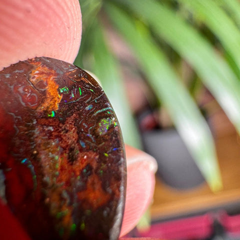 Australian Boulder Opal - Dragon's Tear - Crystals & Reiki