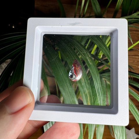 Australian Boulder Opal - Dragon's Tear - Crystals & Reiki