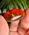 Burmese Amber with Rainbow Fire - Phoenix Ember - Crystals & Reiki