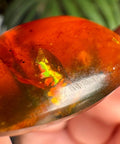 Burmese Amber with Rainbow Fire - Phoenix Ember - Crystals & Reiki