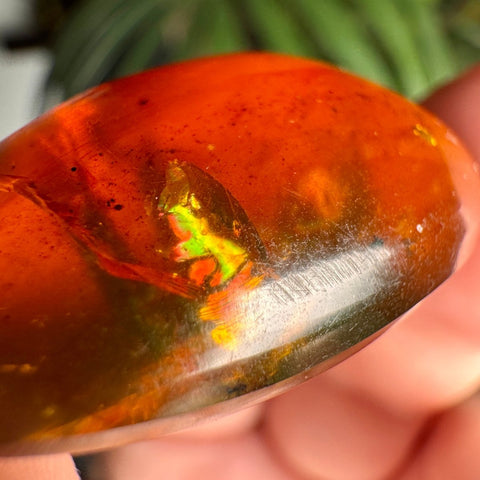 Burmese Amber with Rainbow Fire - Phoenix Ember - Crystals & Reiki