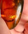 Burmese Amber with Rainbow Fire - Phoenix Ember - Crystals & Reiki