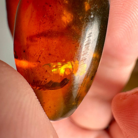 Burmese Amber with Rainbow Fire - Phoenix Ember - Crystals & Reiki