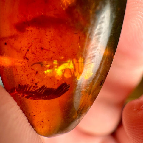 Burmese Amber with Rainbow Fire - Phoenix Ember - Crystals & Reiki
