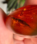 Burmese Amber with Rainbow Fire - Phoenix Ember - Crystals & Reiki
