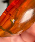 Burmese Amber with Rainbow Fire - Phoenix Ember - Crystals & Reiki