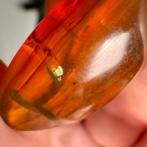 Burmese Amber with Rainbow Fire - Phoenix Ember - Crystals & Reiki