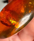 Burmese Amber with Rainbow Fire - Phoenix Ember - Crystals & Reiki