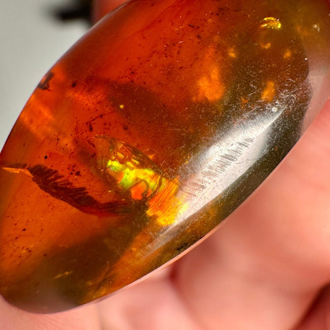 Burmese Amber with Rainbow Fire - Phoenix Ember - Crystals & Reiki