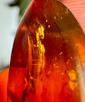 Burmese Amber with Rainbow Fire - Phoenix Ember - Crystals & Reiki