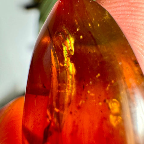 Burmese Amber with Rainbow Fire - Phoenix Ember - Crystals & Reiki
