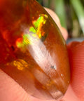 Burmese Amber with Rainbow Fire - Phoenix Ember - Crystals & Reiki