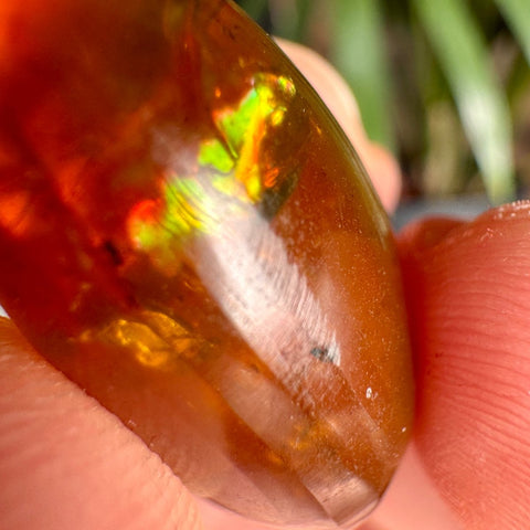 Burmese Amber with Rainbow Fire - Phoenix Ember - Crystals & Reiki