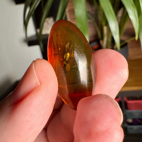 Burmese Amber with Rainbow Fire - Phoenix Ember - Crystals & Reiki
