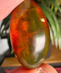 Burmese Amber with Rainbow Fire - Phoenix Ember - Crystals & Reiki