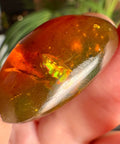 Burmese Amber with Rainbow Fire - Phoenix Ember - Crystals & Reiki