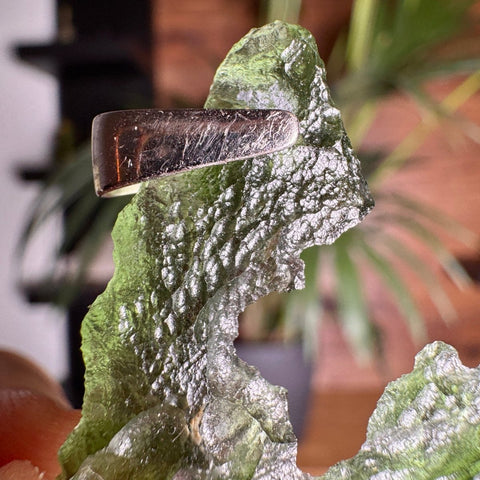 Angel Chime Moldavite Pendant from Chlum - The Space Dorito