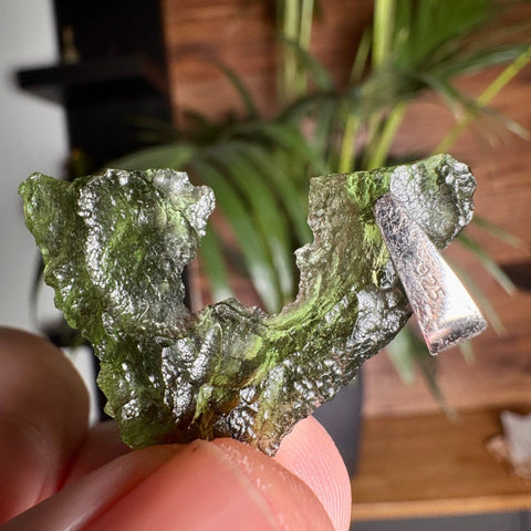 Angel Chime Moldavite Pendant from Chlum - The Space Dorito
